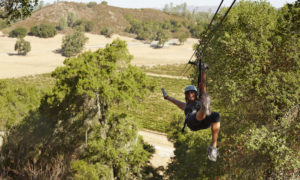 Read more about the article Vineyard and Zipline Trends Collide at the Pinot Express